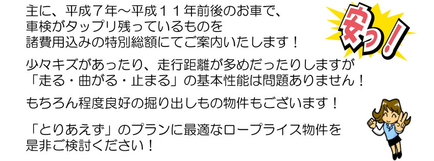 [vCX𐥔񂲌I